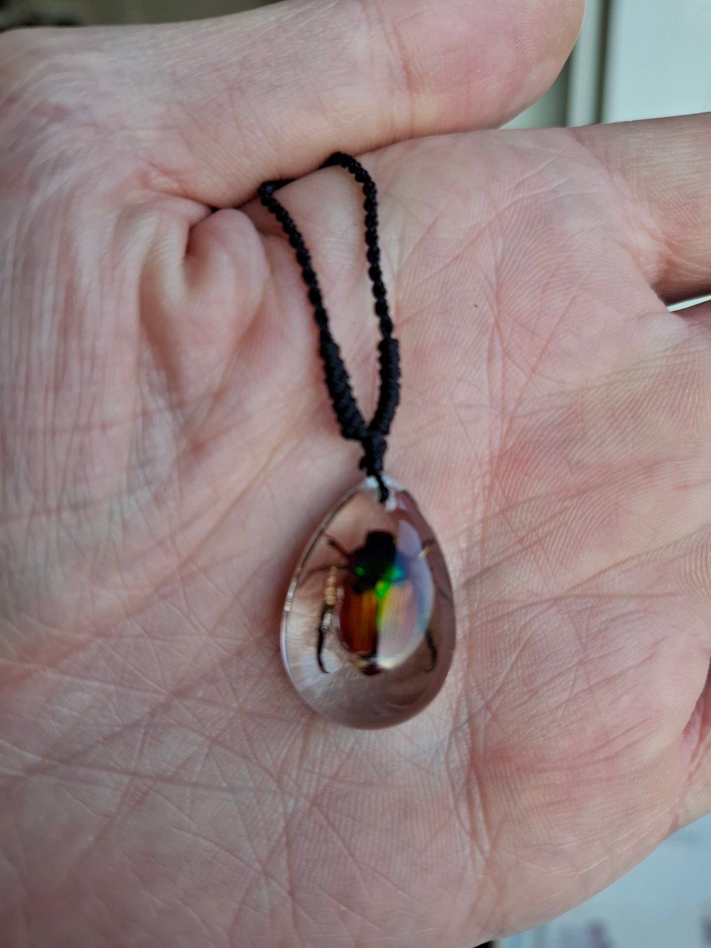 Little Chafer Beetle Necklace