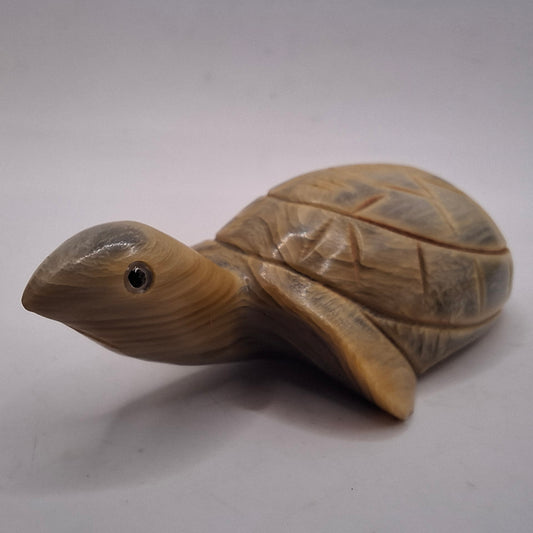 Horn Carving Of A Turtle