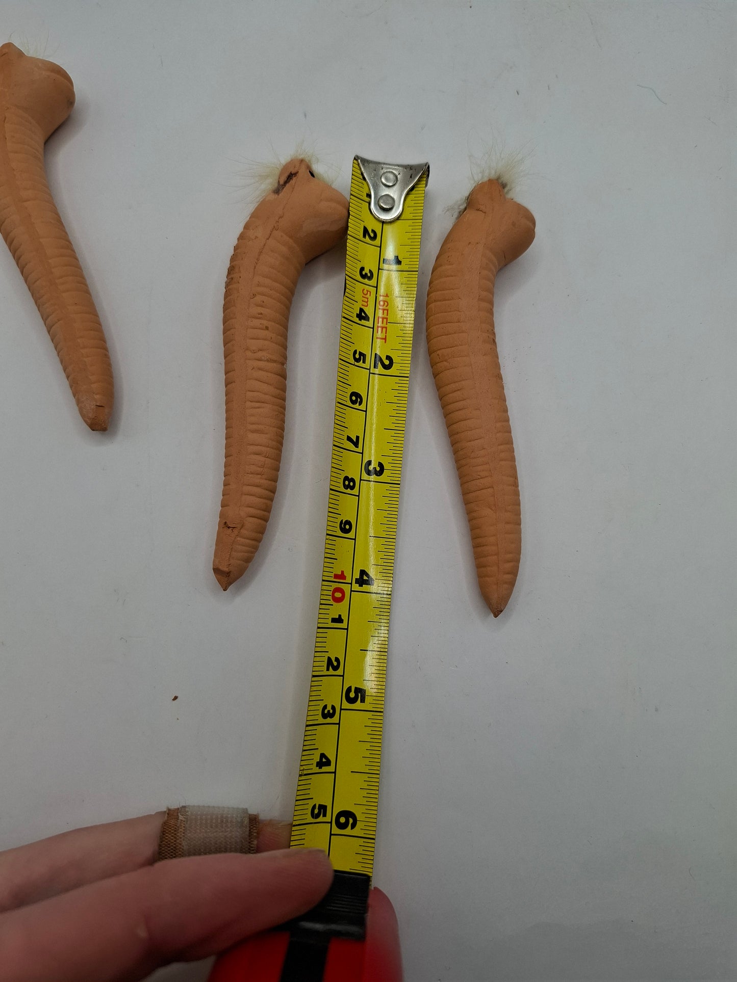 Skinny Worm