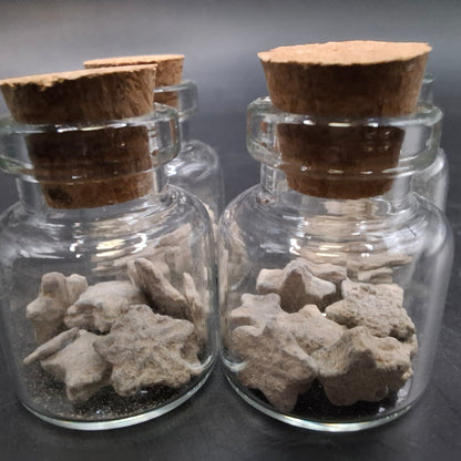 Star Jars