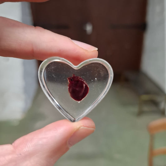 Rat Heart