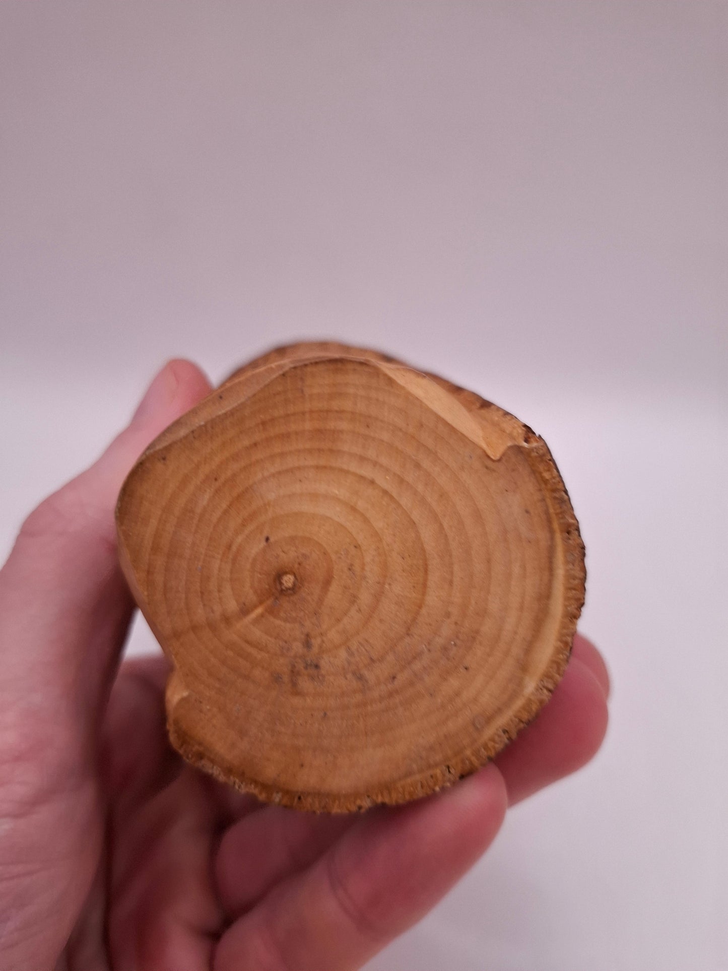 Wooden Pen Pot