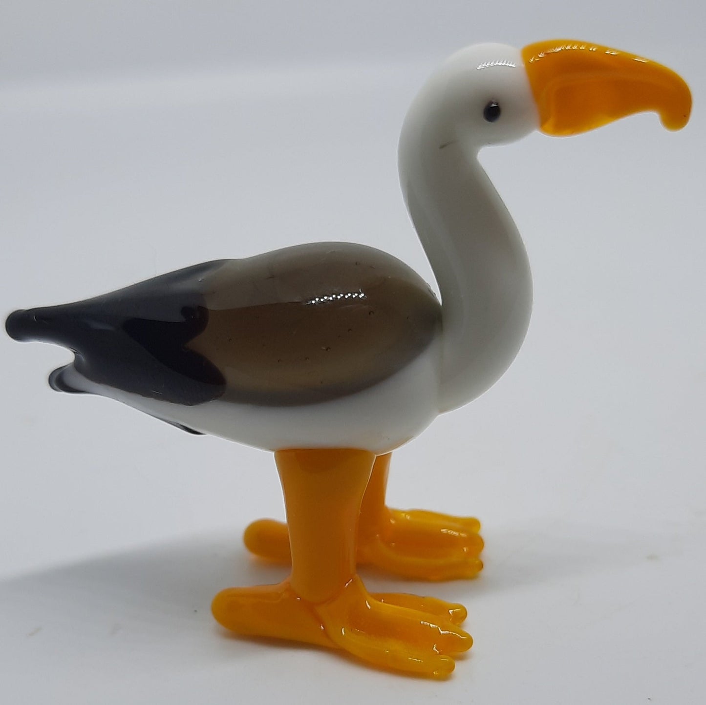 Steven Seagull