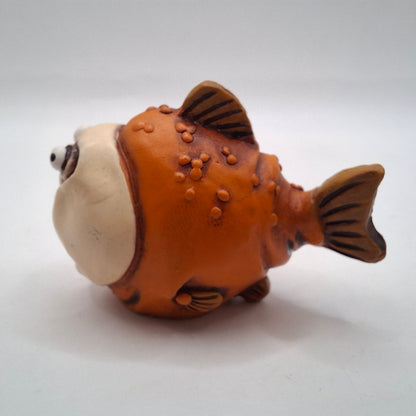Boggle Eyed Fish