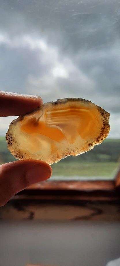 Agate Slices