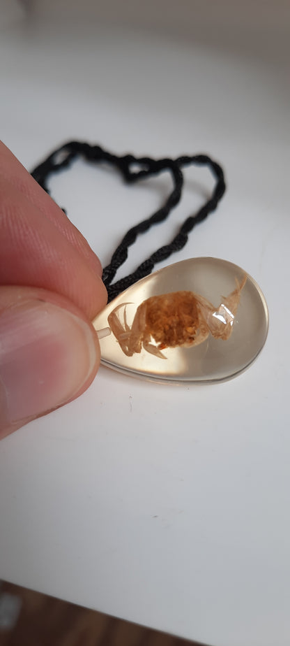 Crab Necklace