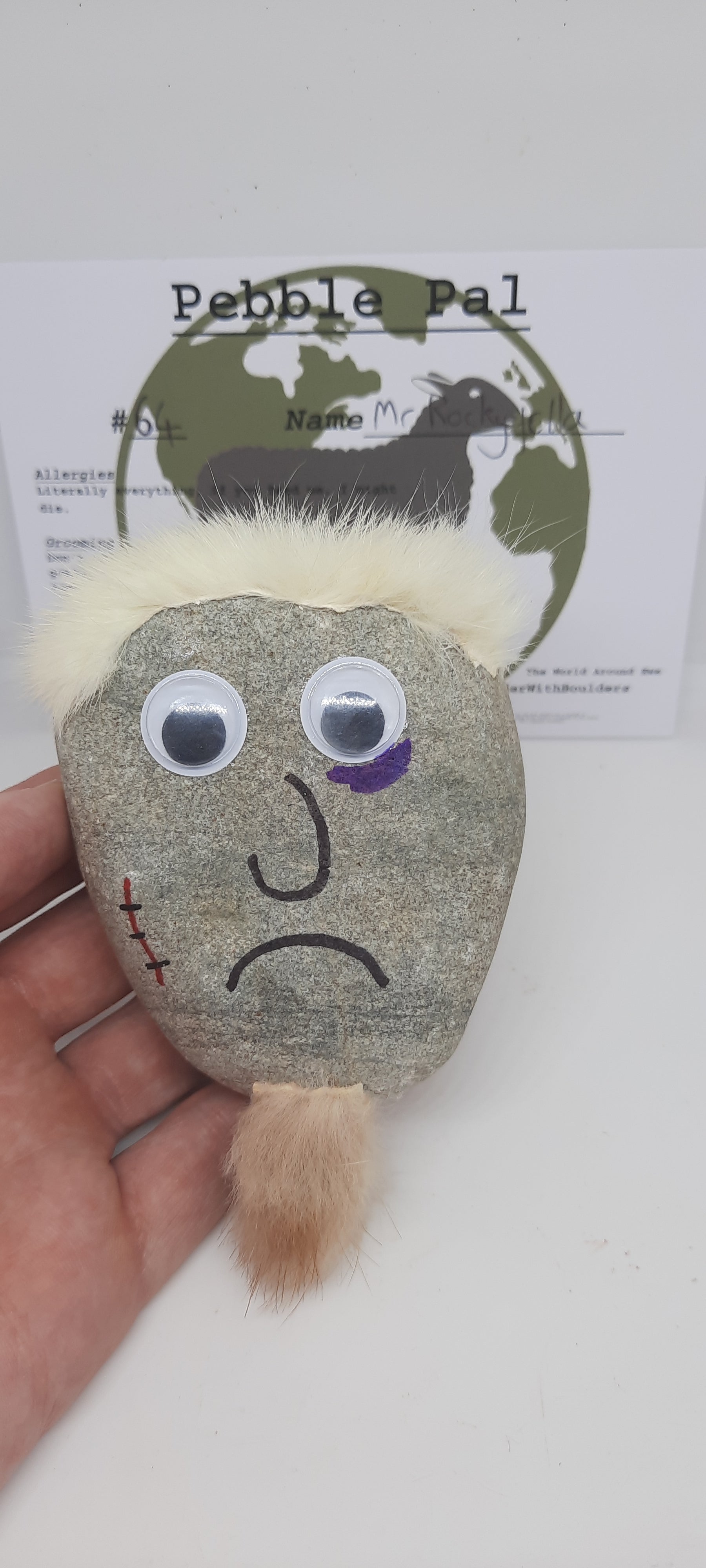 Pebble Pals