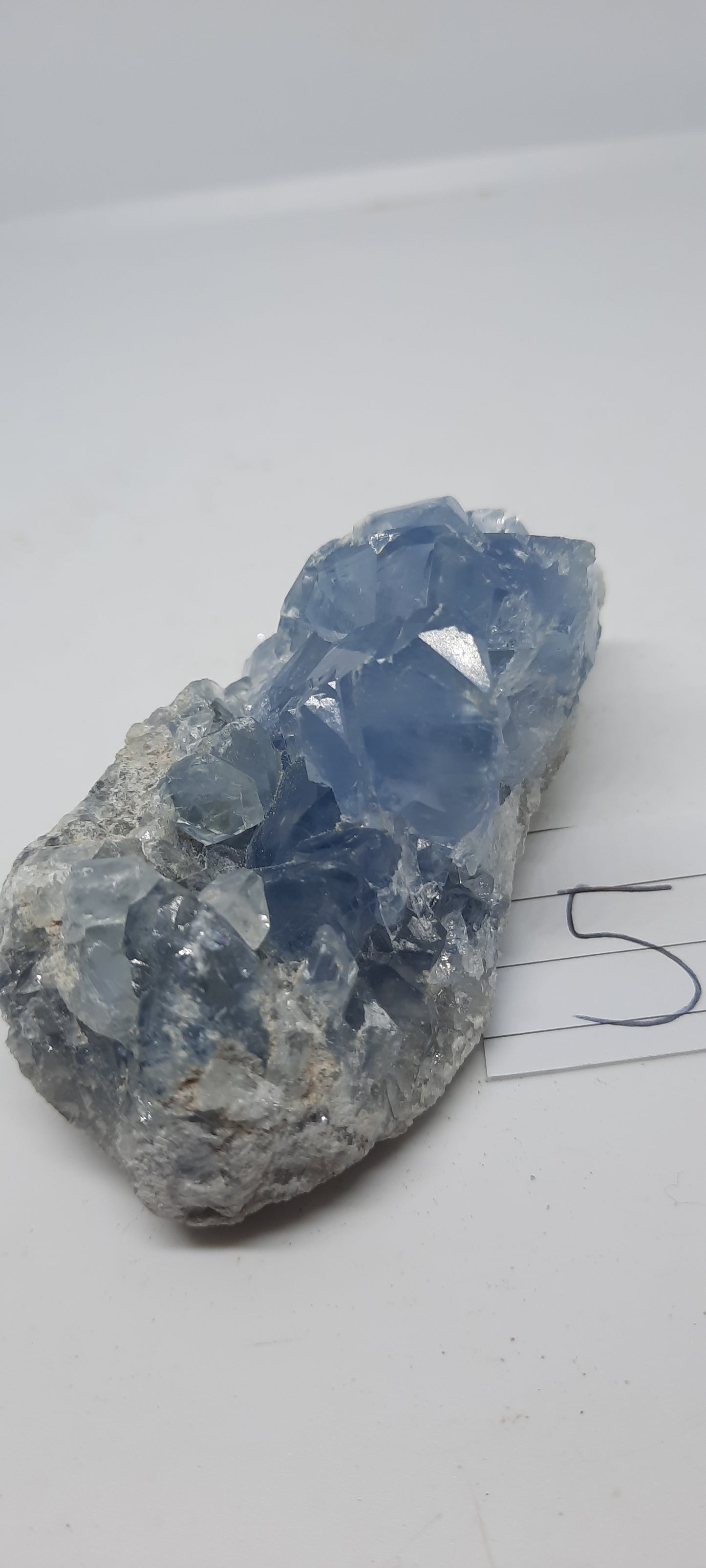 Celestite