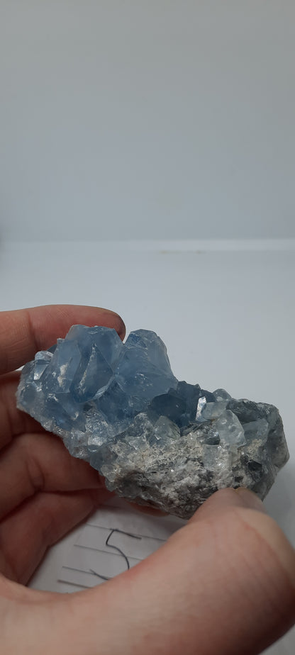 Celestite