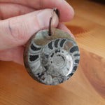 Fossil Keyring