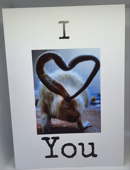 Greetings Cards