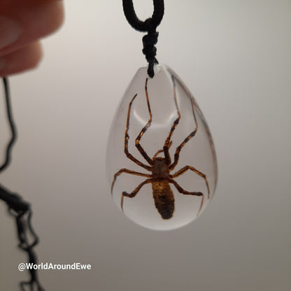 Spider Necklace