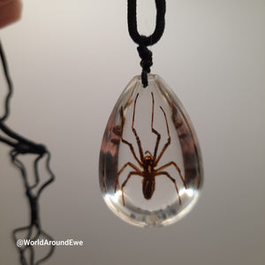 Spider Necklace