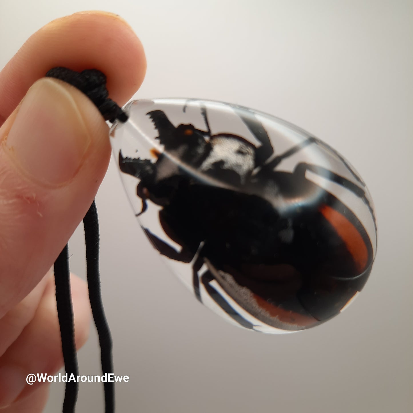 Beetle Necklace