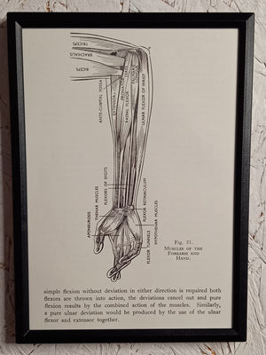 Applied Anatomy For Nurses - Framed Pages