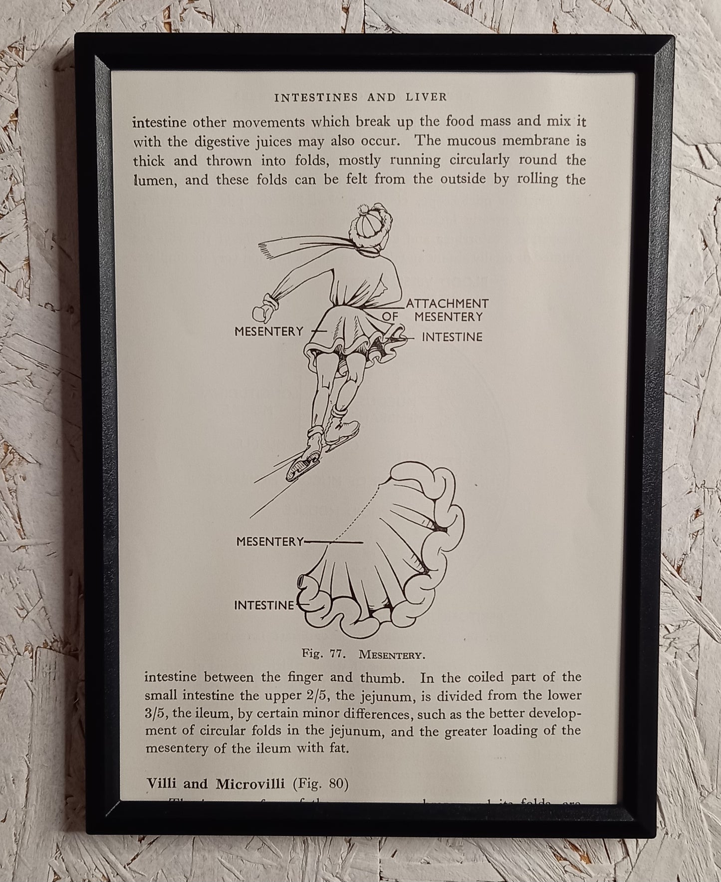 Applied Anatomy For Nurses - Framed Pages