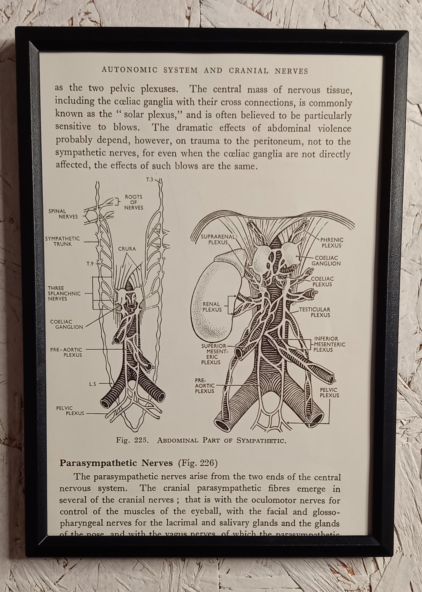 Applied Anatomy For Nurses - Framed Pages