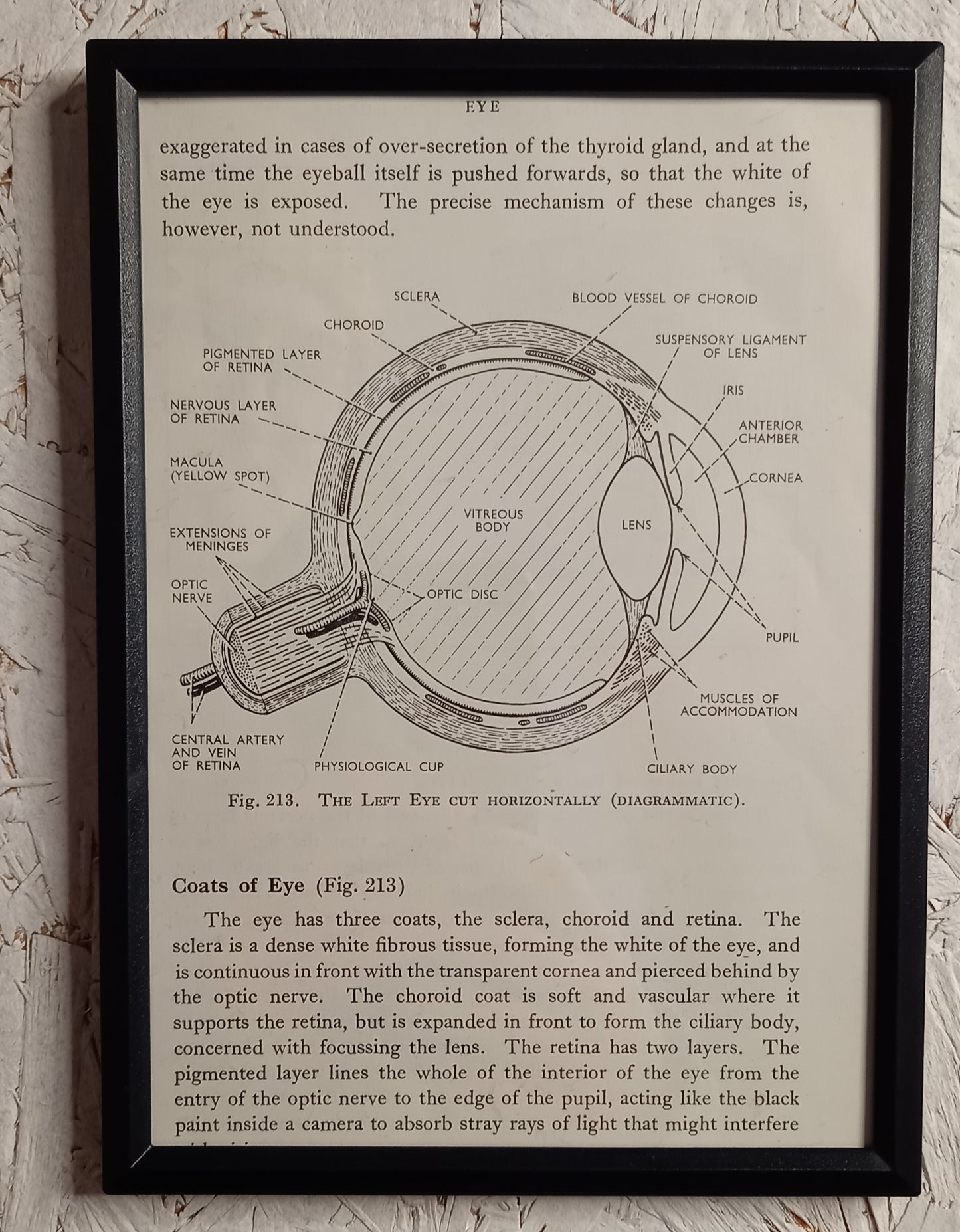 Applied Anatomy For Nurses - Framed Pages