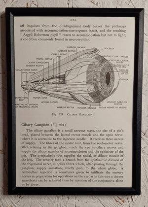 Applied Anatomy For Nurses - Framed Pages