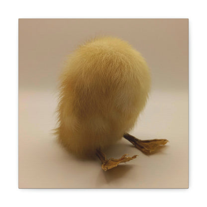 Headless Duckling Canvas