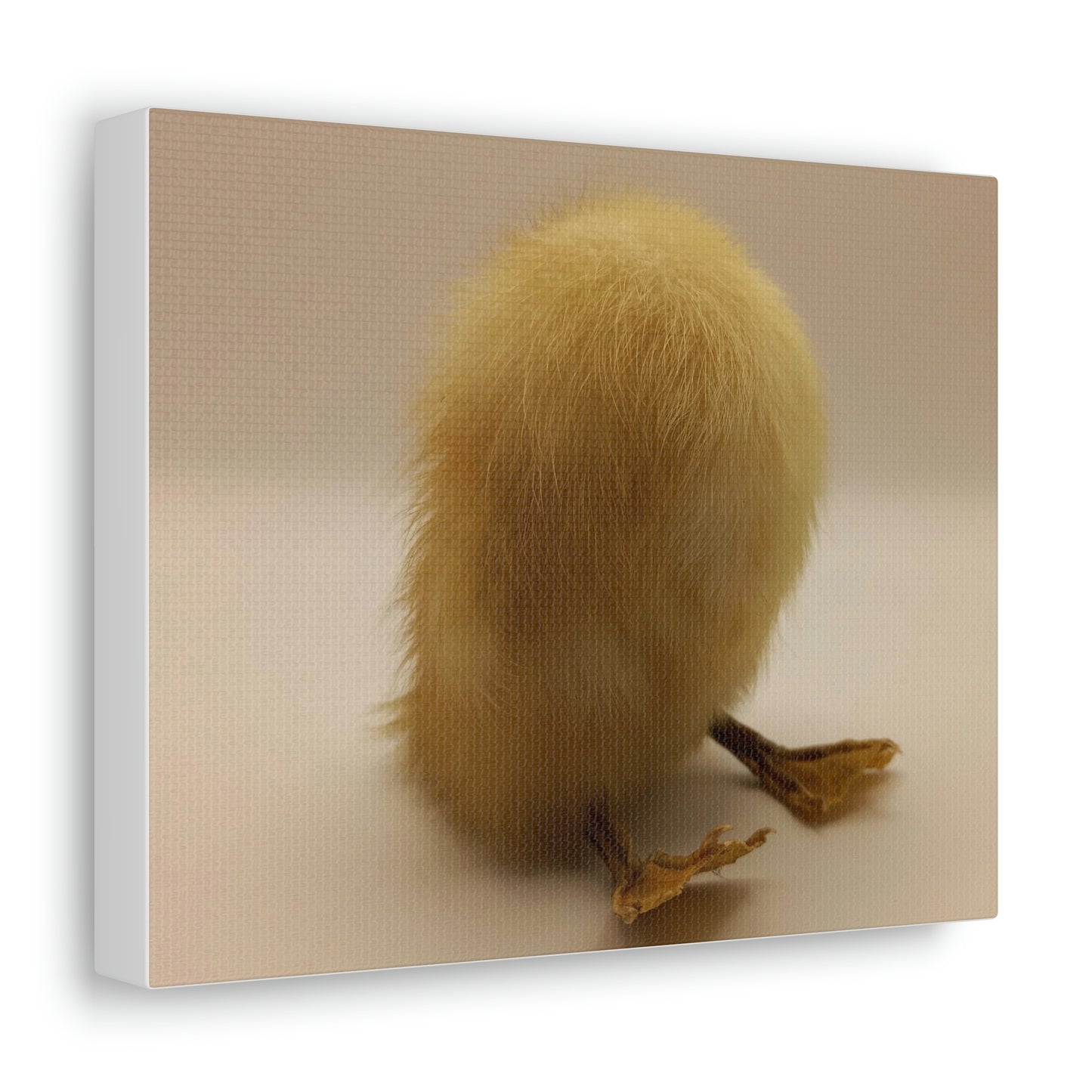 Headless Duckling Canvas