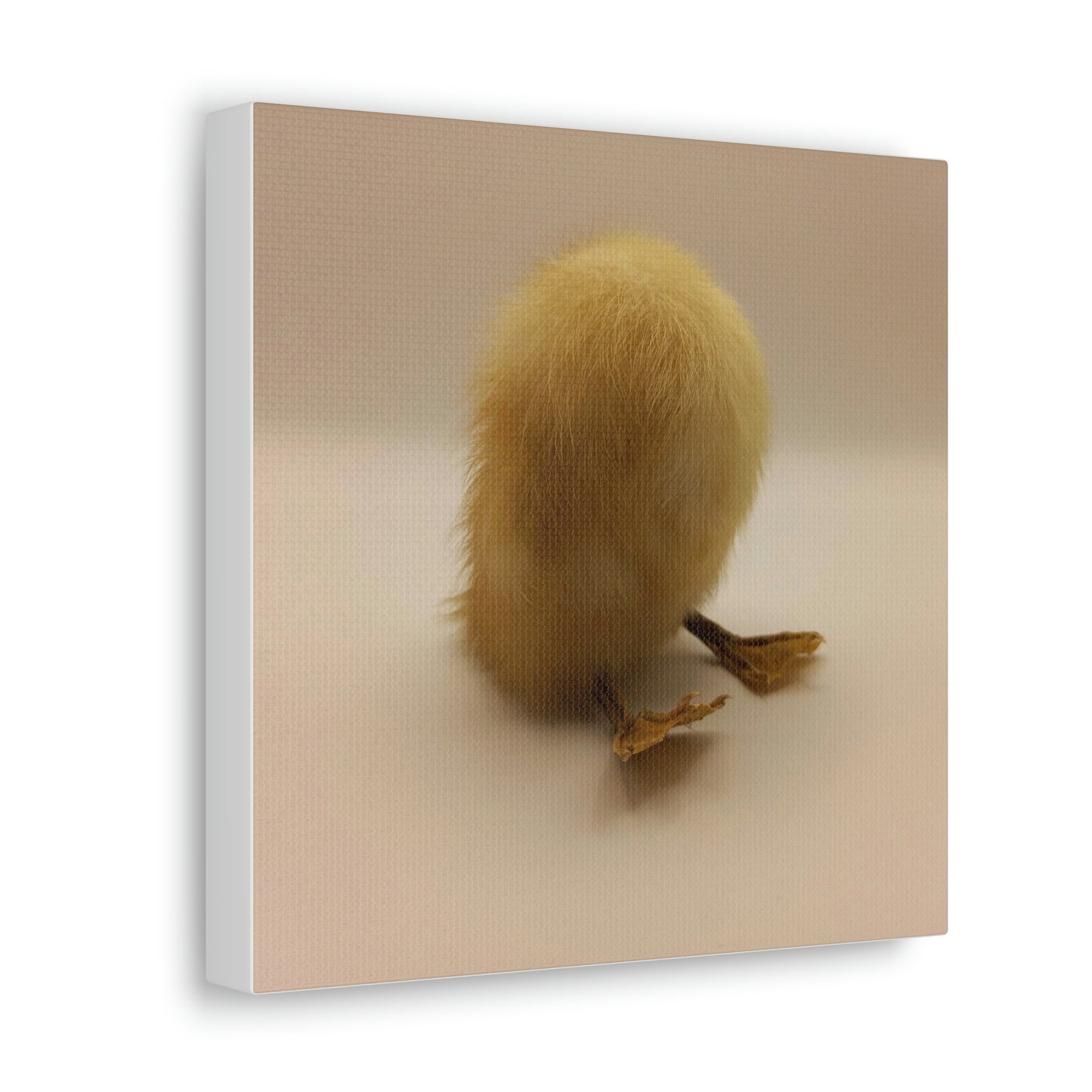 Headless Duckling Canvas