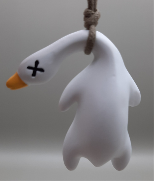 Uncooked Goose