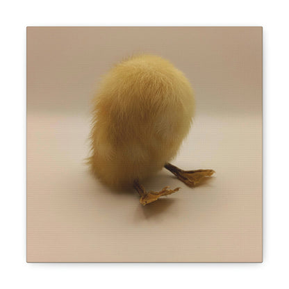 Headless Duckling Canvas