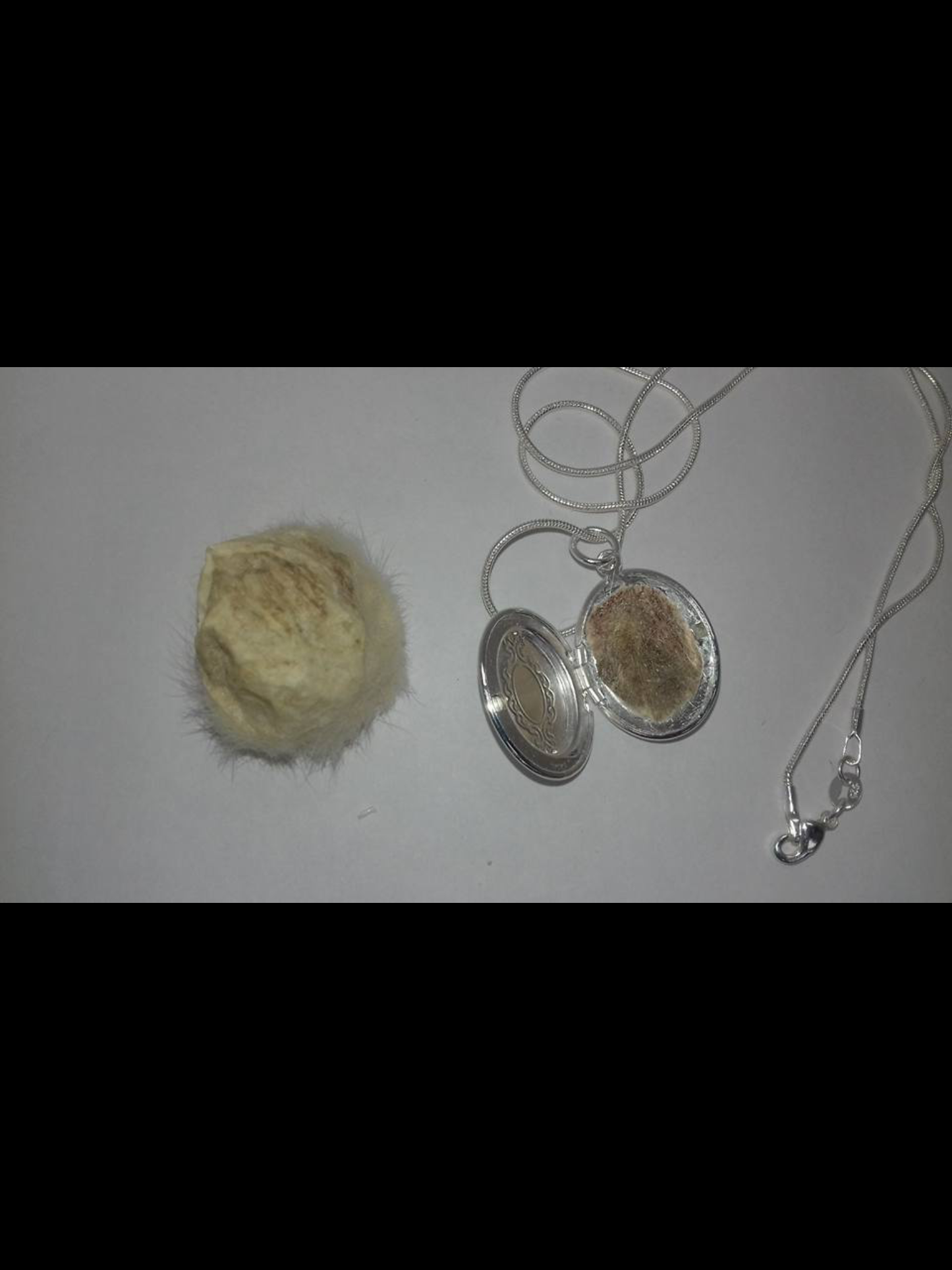 Rat Scrotum Pendants with necklace!