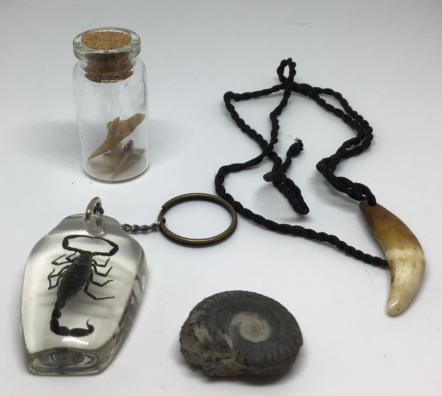 Oddities Starter Kit - A random selection of smaller Oddities