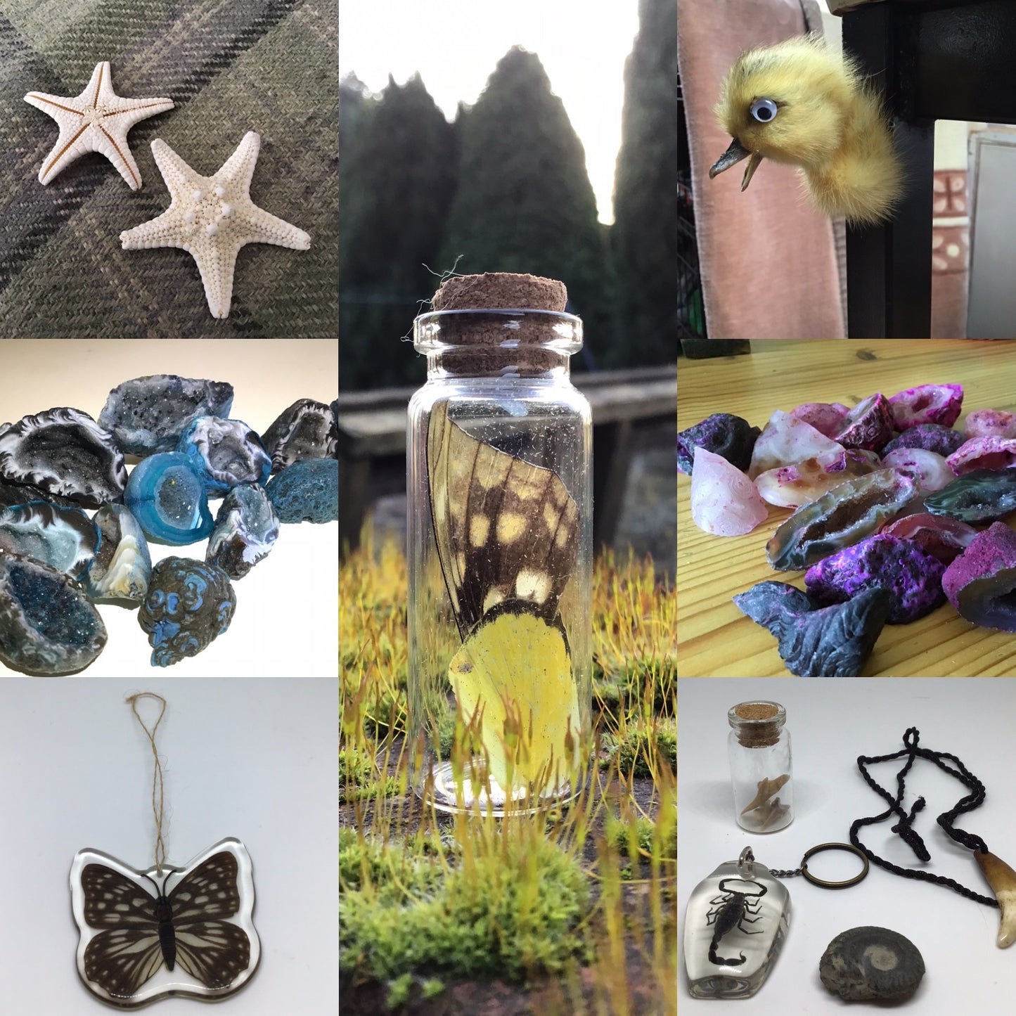 Oddities Starter Kit - A random selection of smaller Oddities